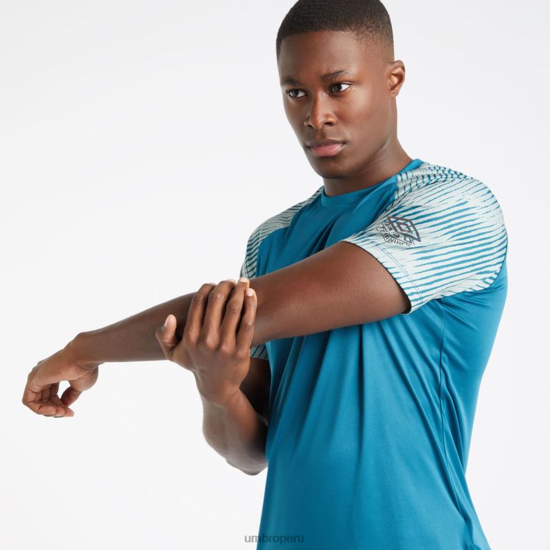 camiseta de manga gráfica de entrenamiento profesional hombres ropa 64RRH75 Umbro azul coral/verde chinois