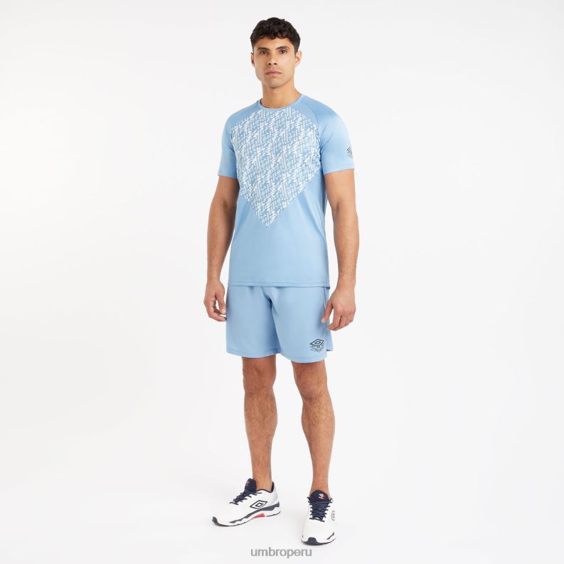 camiseta gráfica de entrenamiento profesional hombres ropa 64RRH29 Umbro atractivo/blanco brillante